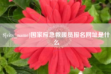 克孜勒苏柯尔克孜国家应急救援员报名网址是什么