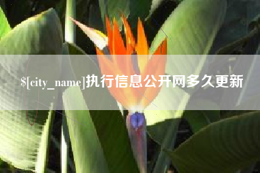 克孜勒苏柯尔克孜执行信息公开网多久更新