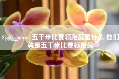 克孜勒苏柯尔克孜五千米比赛领跑员是什么-他们就是五千米比赛领跑员