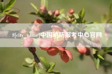 克孜勒苏柯尔克孜中国消防报考中心官网