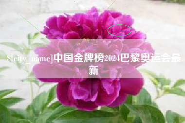 克孜勒苏柯尔克孜中国金牌榜2024巴黎奥运会最新