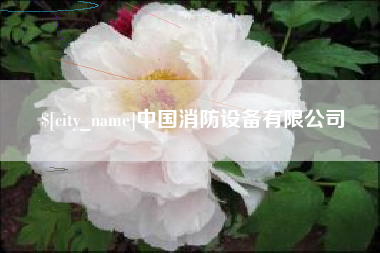 克孜勒苏柯尔克孜中国消防设备有限公司