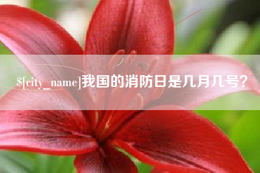 克孜勒苏柯尔克孜我国的消防日是几月几号？
