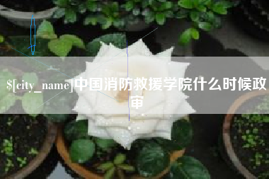 克孜勒苏柯尔克孜中国消防救援学院什么时候政审
