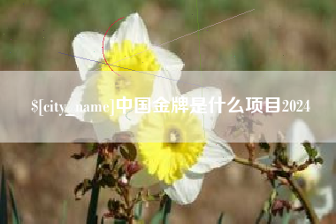 克孜勒苏柯尔克孜中国金牌是什么项目2024