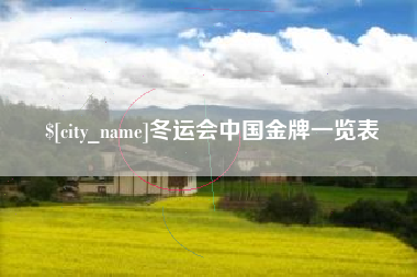 克孜勒苏柯尔克孜冬运会中国金牌一览表