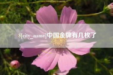 克孜勒苏柯尔克孜中国金牌有几枚了
