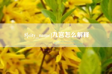 克孜勒苏柯尔克孜九宫怎么解释