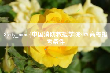克孜勒苏柯尔克孜中国消防救援学院2020高考报考条件