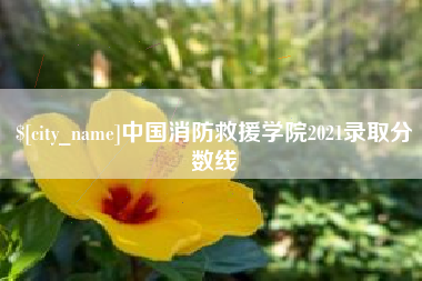 克孜勒苏柯尔克孜中国消防救援学院2021录取分数线