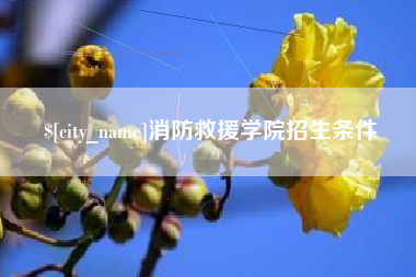 克孜勒苏柯尔克孜消防救援学院招生条件