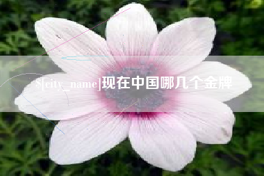 克孜勒苏柯尔克孜现在中国哪几个金牌