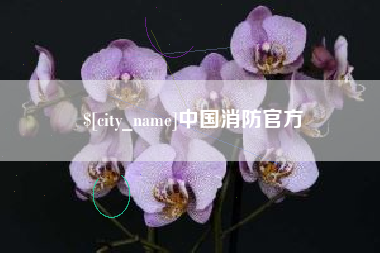 克孜勒苏柯尔克孜中国消防官方