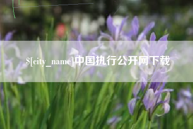 克孜勒苏柯尔克孜中国执行公开网下载