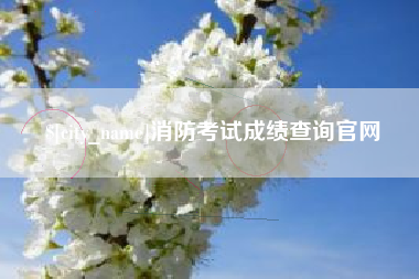 克孜勒苏柯尔克孜消防考试成绩查询官网