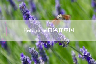 克孜勒苏柯尔克孜白色在中国