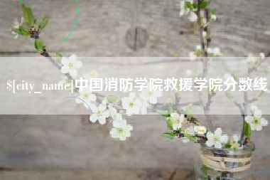 克孜勒苏柯尔克孜中国消防学院救援学院分数线