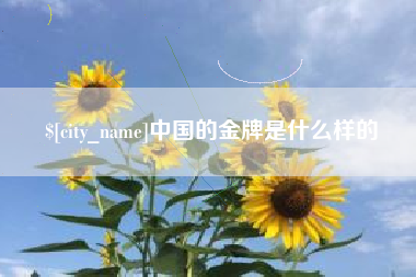 克孜勒苏柯尔克孜中国的金牌是什么样的