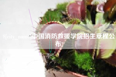克孜勒苏柯尔克孜中国消防救援学院招生章程公布!