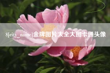 克孜勒苏柯尔克孜金牌图片大全大图卡通头像