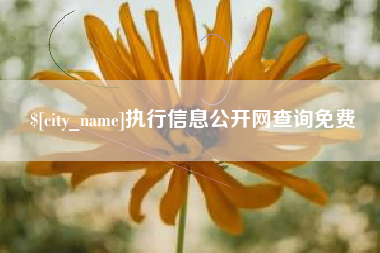 克孜勒苏柯尔克孜执行信息公开网查询免费