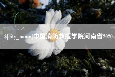克孜勒苏柯尔克孜中国消防救援学院河南省2020